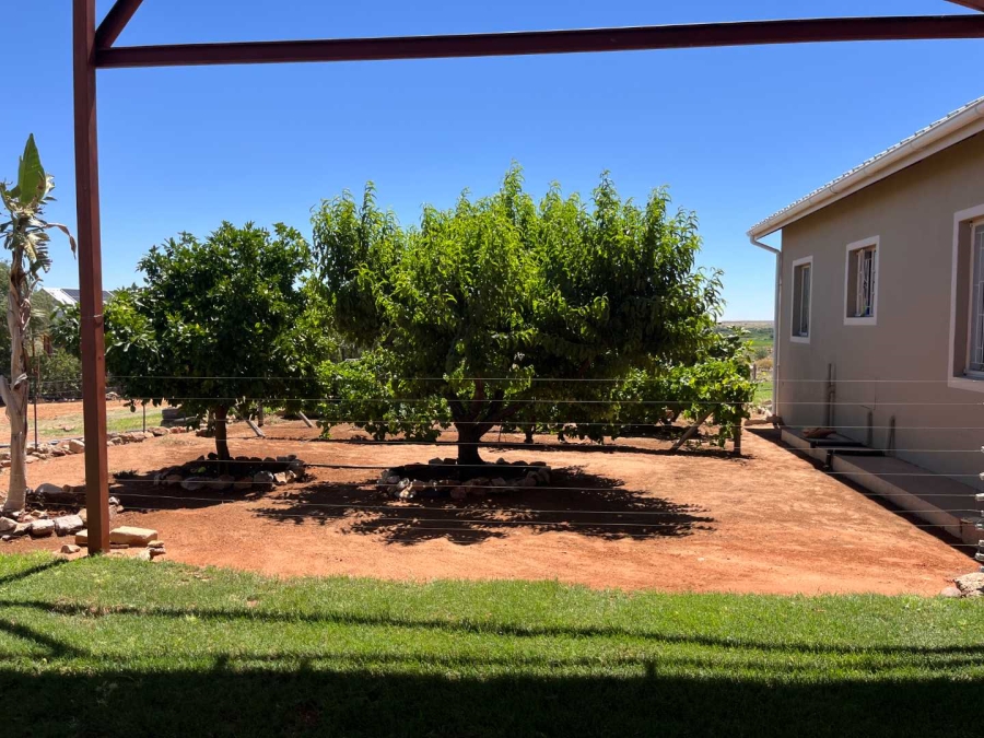 3 Bedroom Property for Sale in Olyfvenhoudtsdrift Northern Cape